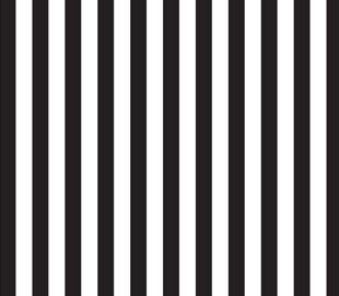 Camelot Mixology - Stripes - Black
