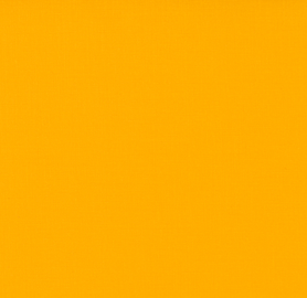 Moda - Bella Solids - Marigold
