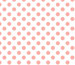 Camelot Mixology - Dots - Pink Chai