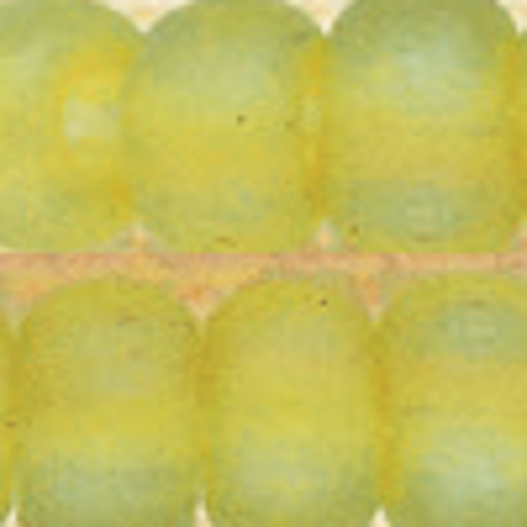 Mill Hill Size 6 Bead 6 Grams - 16615 frosted citrus
